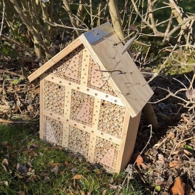 Insekten- & Wildbienenhotel, Bienenhotel im Wald soziale Institution