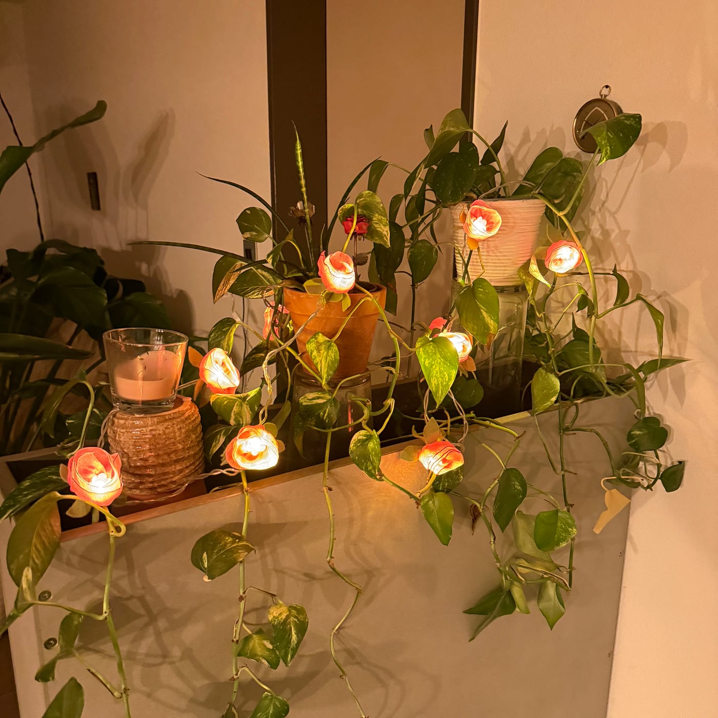 Catena luminosa con rose in stoffa illuminate tra le piante d'appartamento, di sera